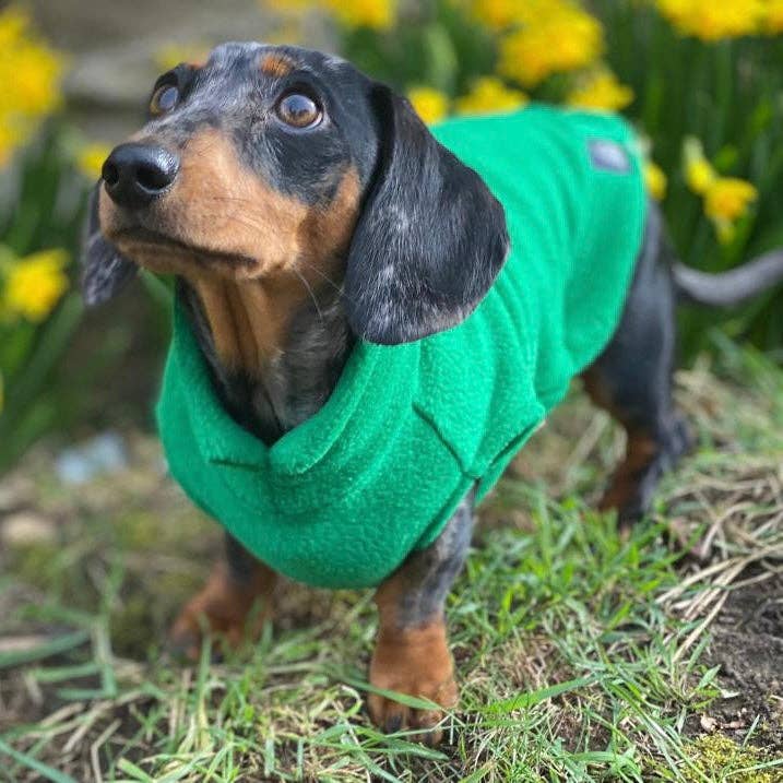 Dachshund Fleece Jumper: Olive / Puppy