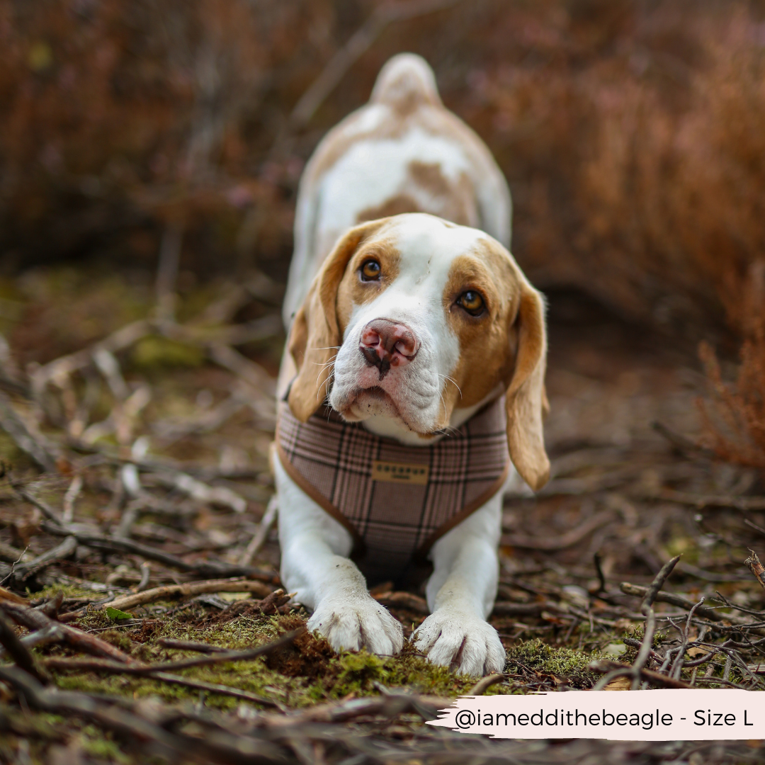 Pup Plaid Adjustable Neck Harness: XS