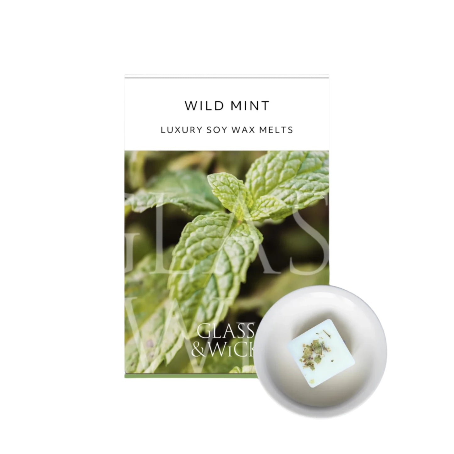 Wild Mint