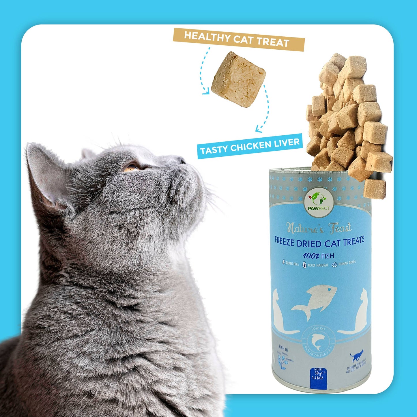 Pawfect Nature's Feast Freeze Dried Cat Treats: Fish Meat: 50g