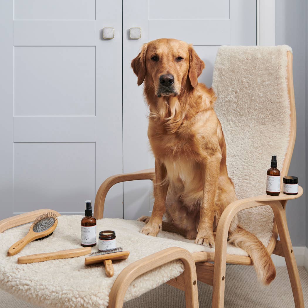 Dog Grooming - Bamboo slicker brush