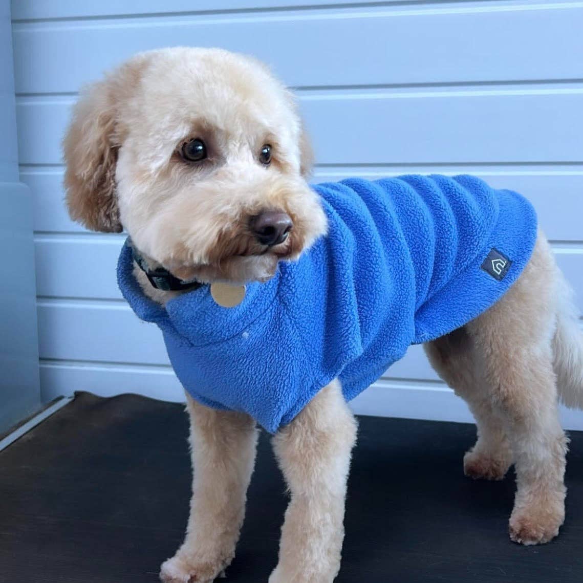 Small Breed Dog Fleece Jumper: Camel / Extra Small