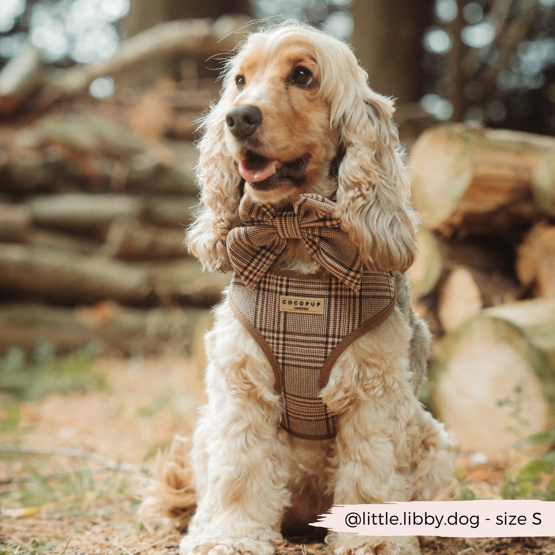 Pup Plaid Adjustable Neck Harness: XS