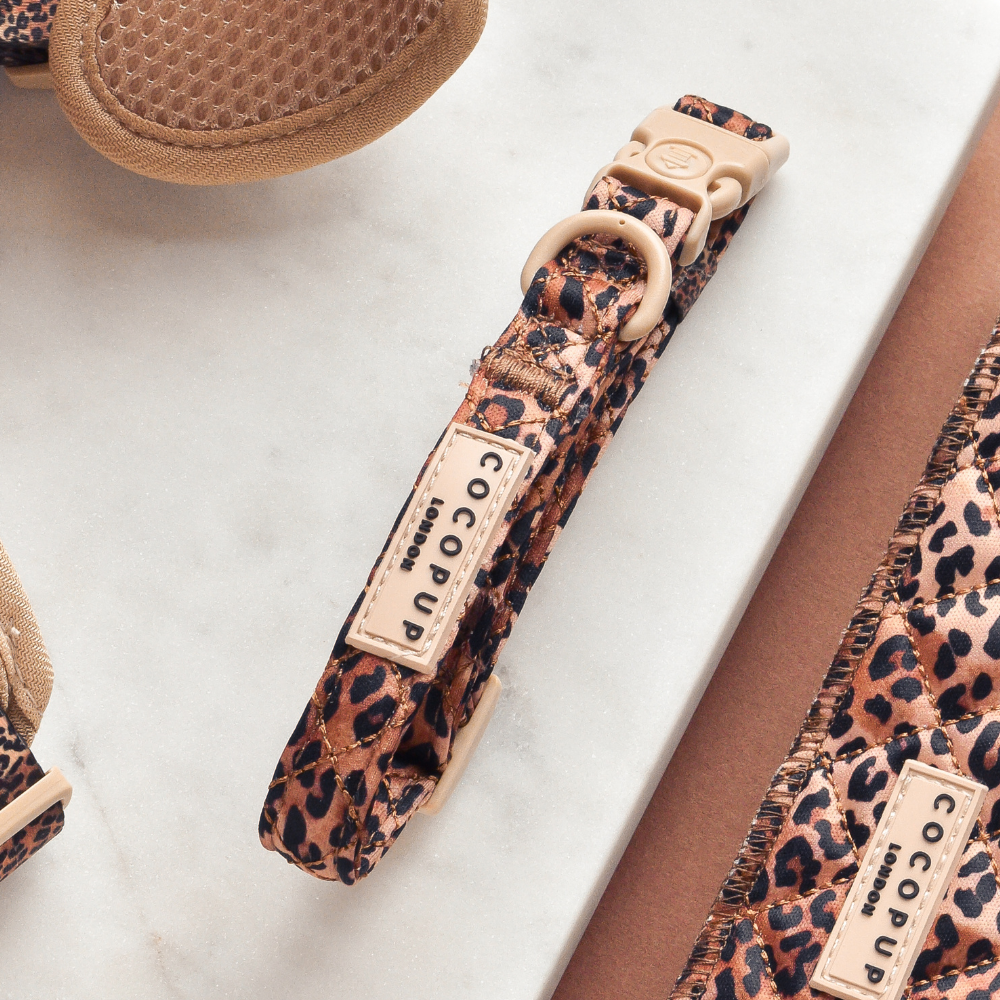 Quilted Leopard Pup Collar: XS