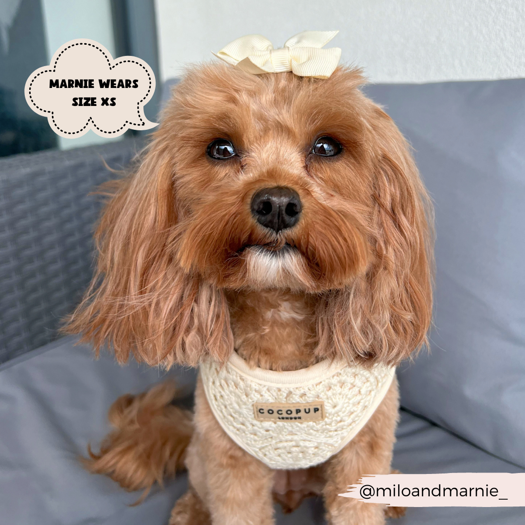 Festival Crochet Adjustable Neck Harness: S