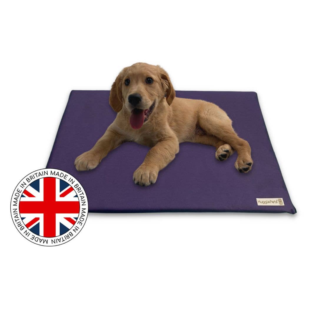 HugglePets Waterproof Dog Mat Cushion: Purple / Large