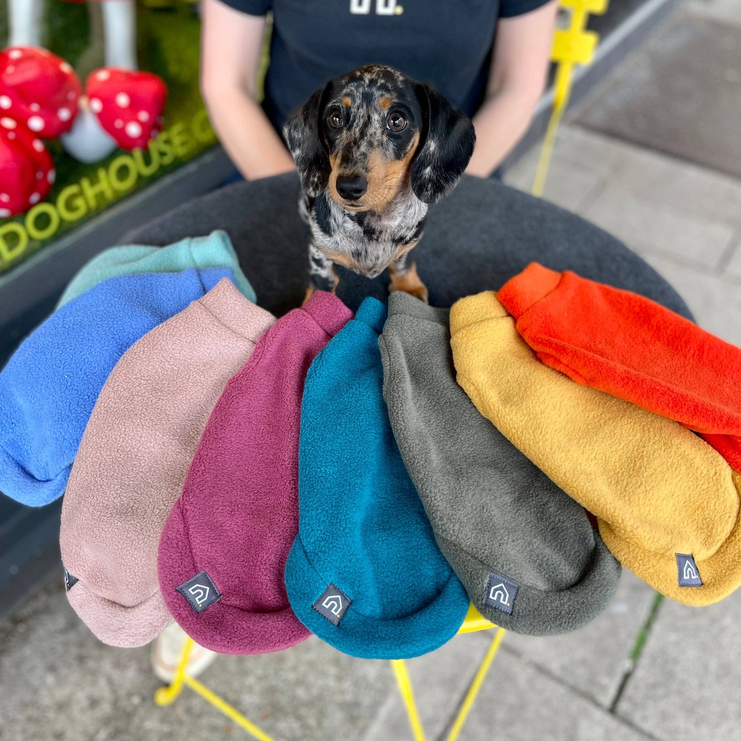 Dachshund Fleece Jumper: Olive / Puppy