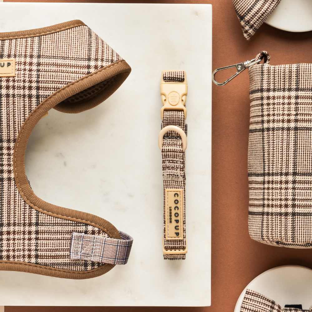 Pup Plaid Collar: Medium