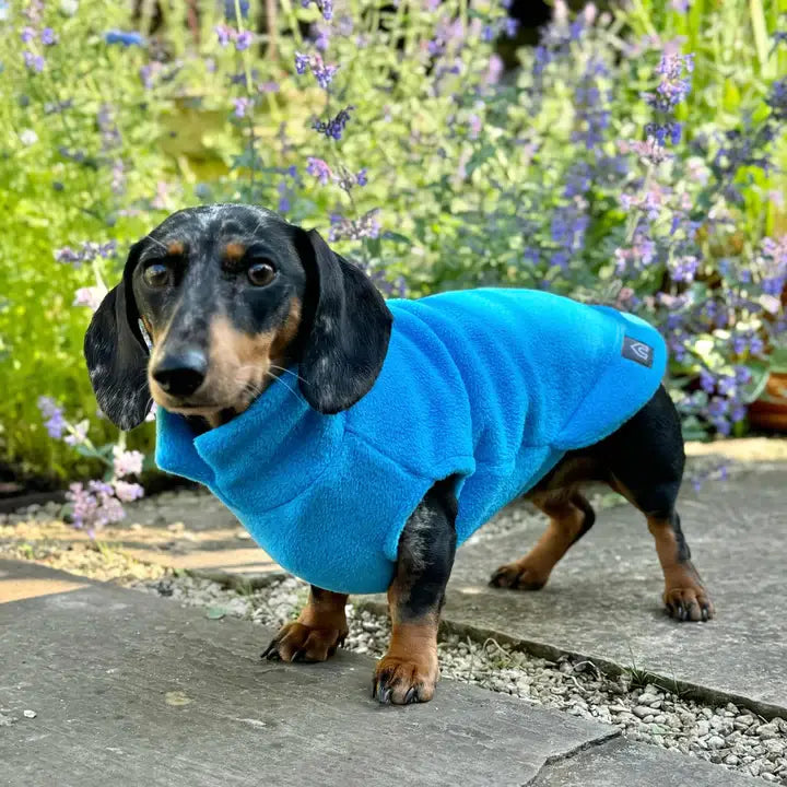 Dachshund Fleece Jumper: Olive / Puppy