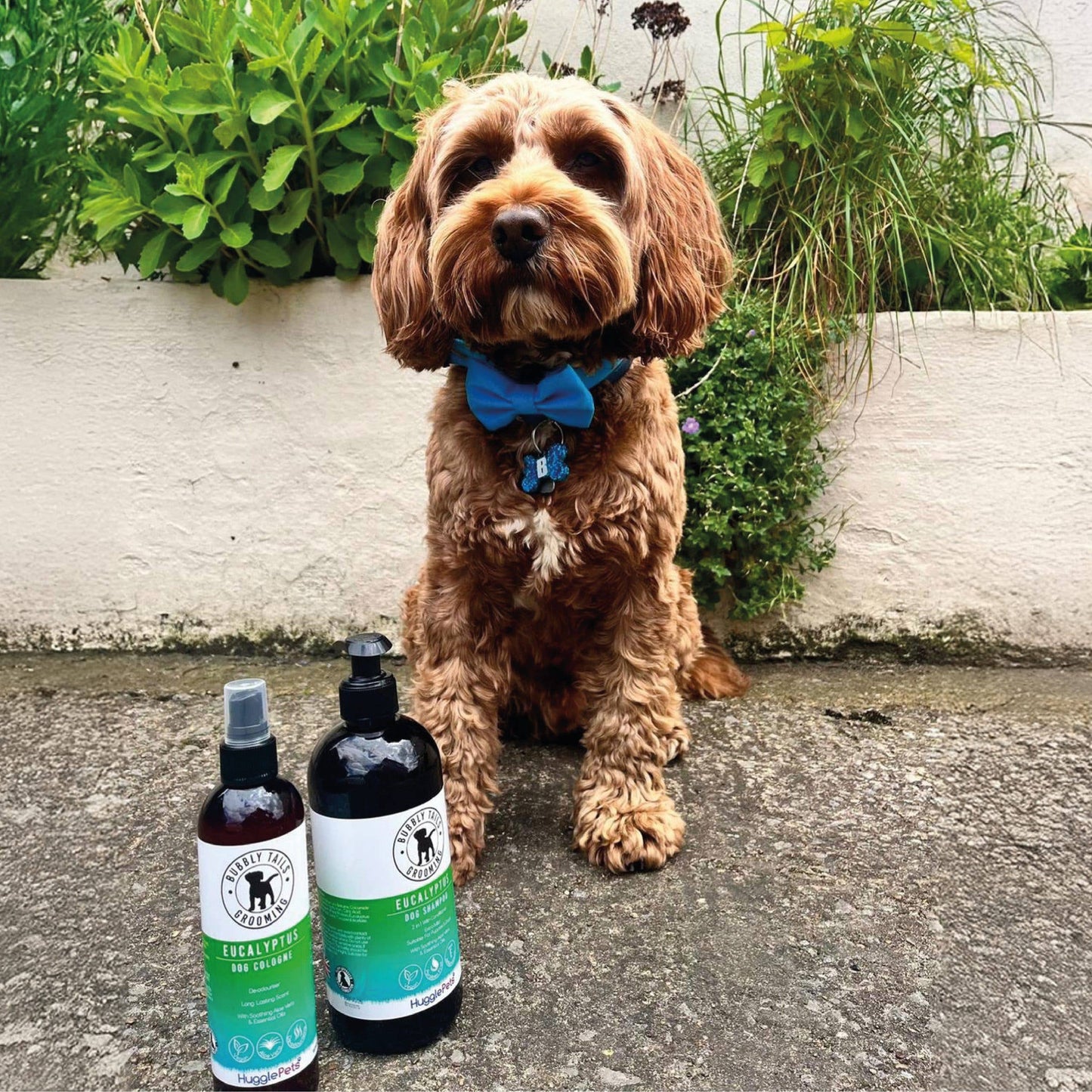 HugglePets Bubbly Tails Dog Cologne: Baby Powder