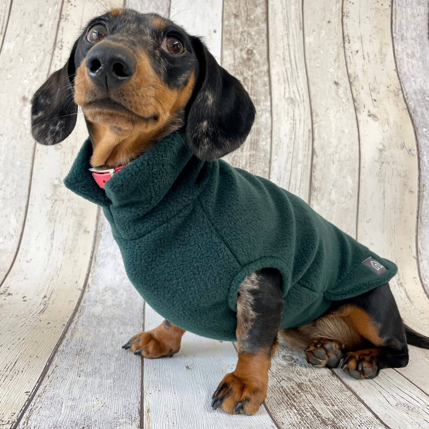 Dachshund Fleece Jumper: Olive / Puppy