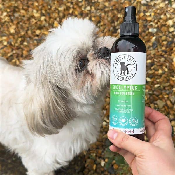HugglePets Bubbly Tails Dog Cologne: Baby Powder
