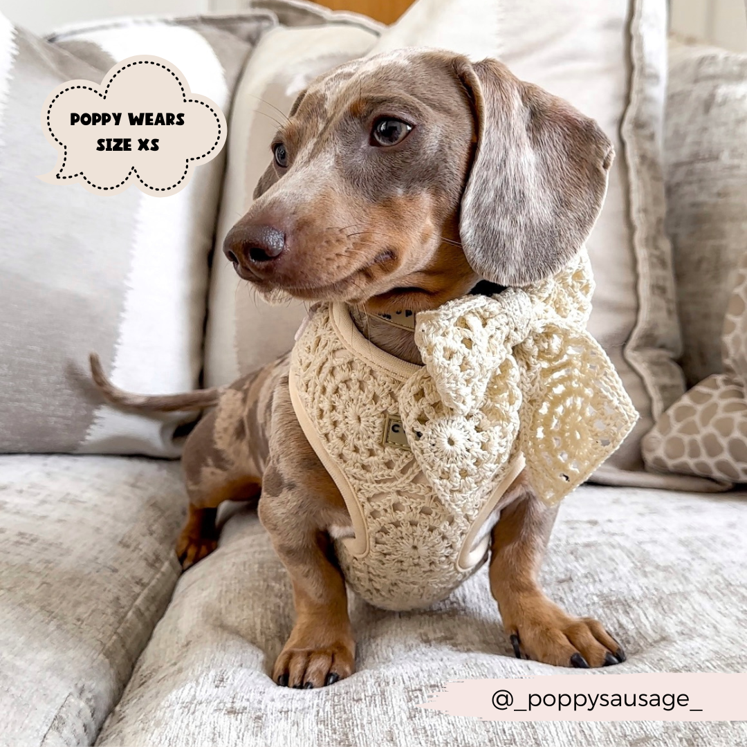 Festival Crochet Adjustable Neck Harness: S