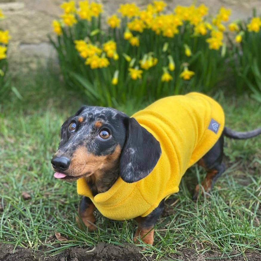 Dachshund Fleece Jumper: Olive / Puppy