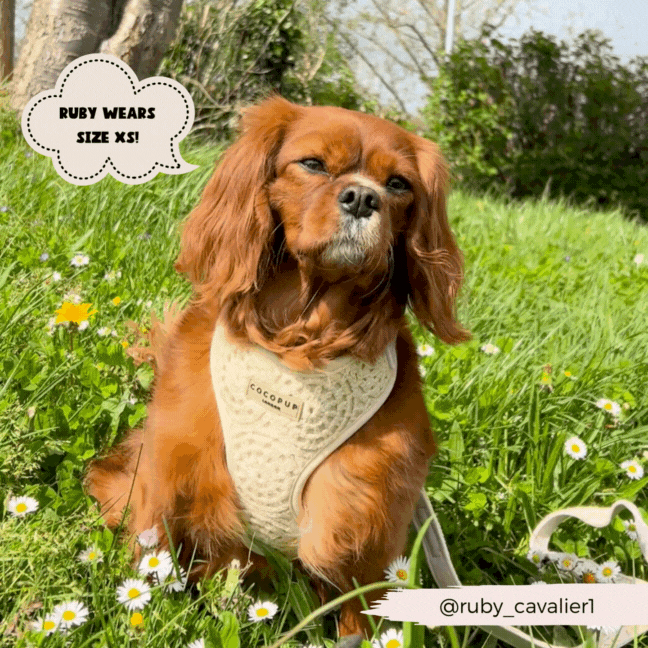 Festival Crochet Adjustable Neck Harness: S