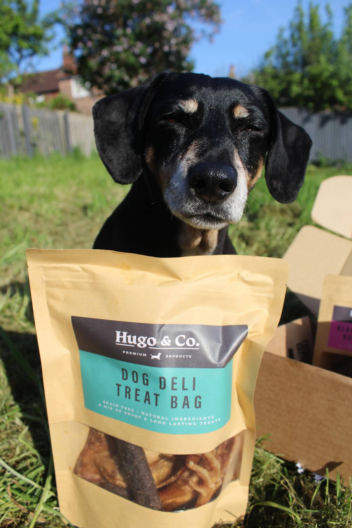 Dog Deli Bag - Natural Treats