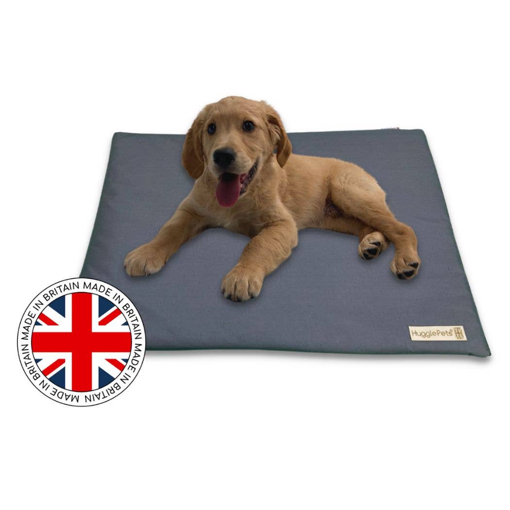 HugglePets Waterproof Dog Mat Cushion: Purple / Large