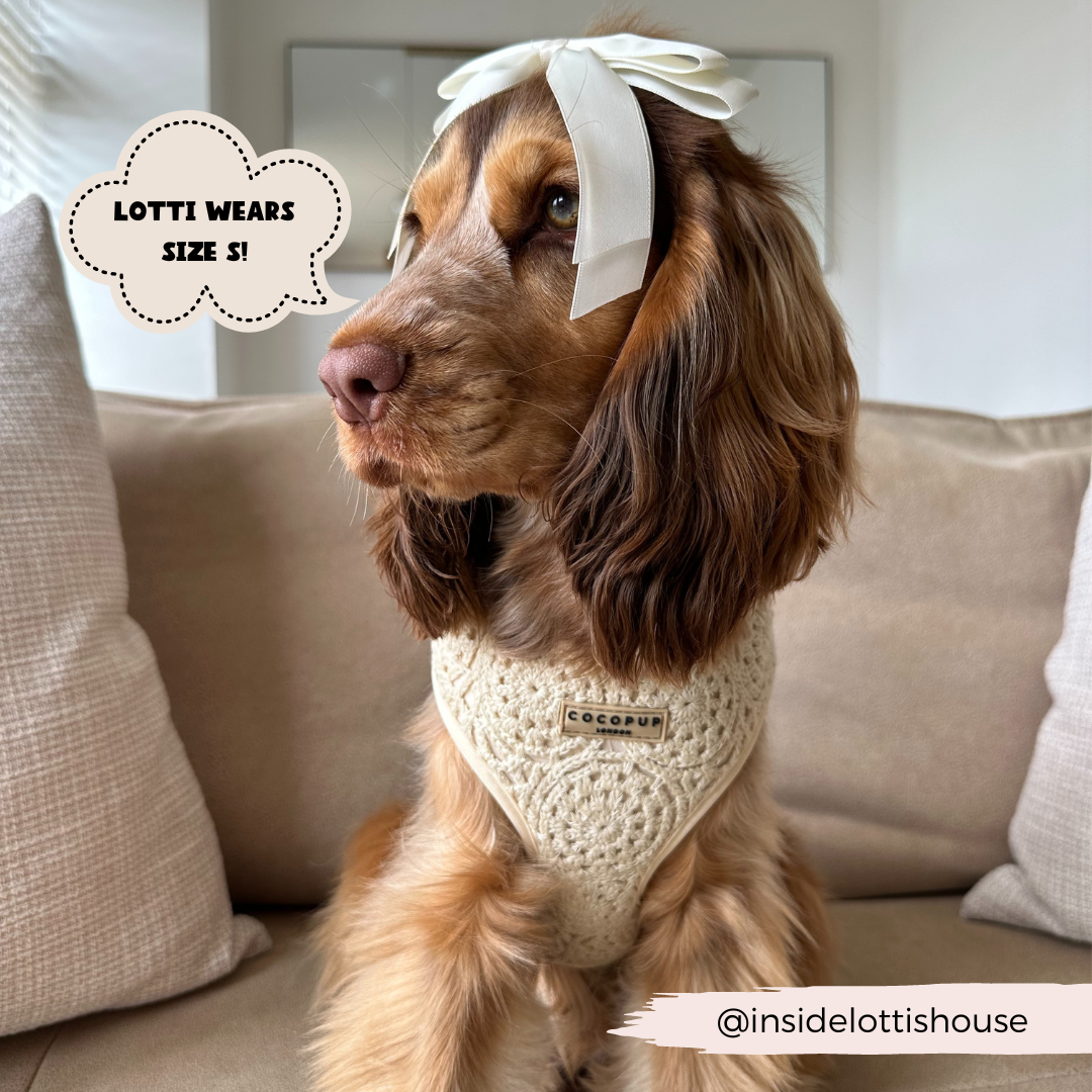 Festival Crochet Adjustable Neck Harness: S