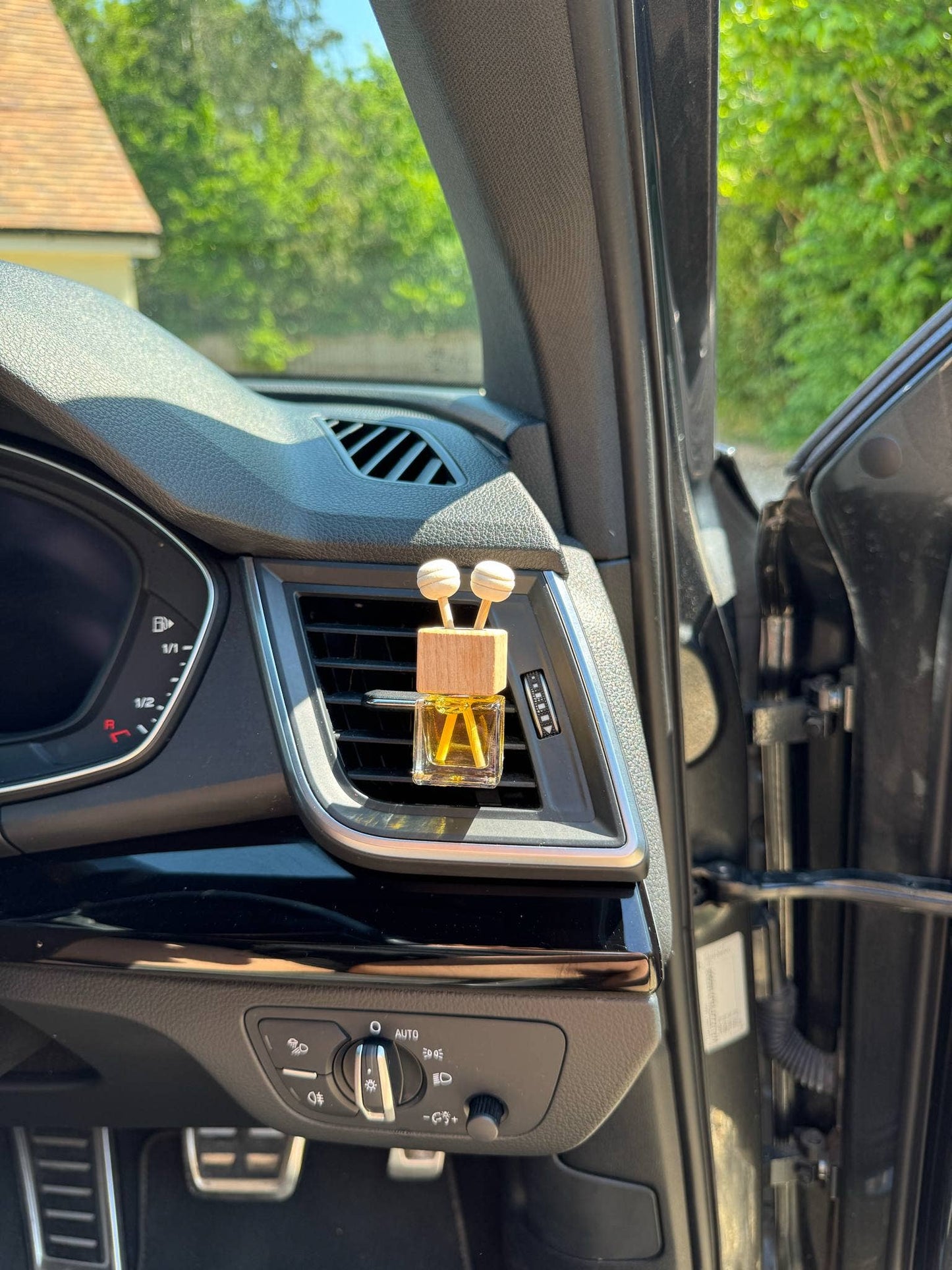Citrus and Spice Car Diffuser