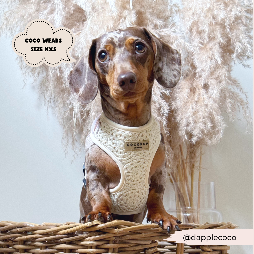 Festival Crochet Adjustable Neck Harness: S