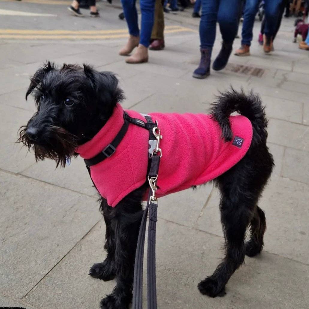 Small Breed Dog Fleece Jumper: Bubblegum Pink / Small