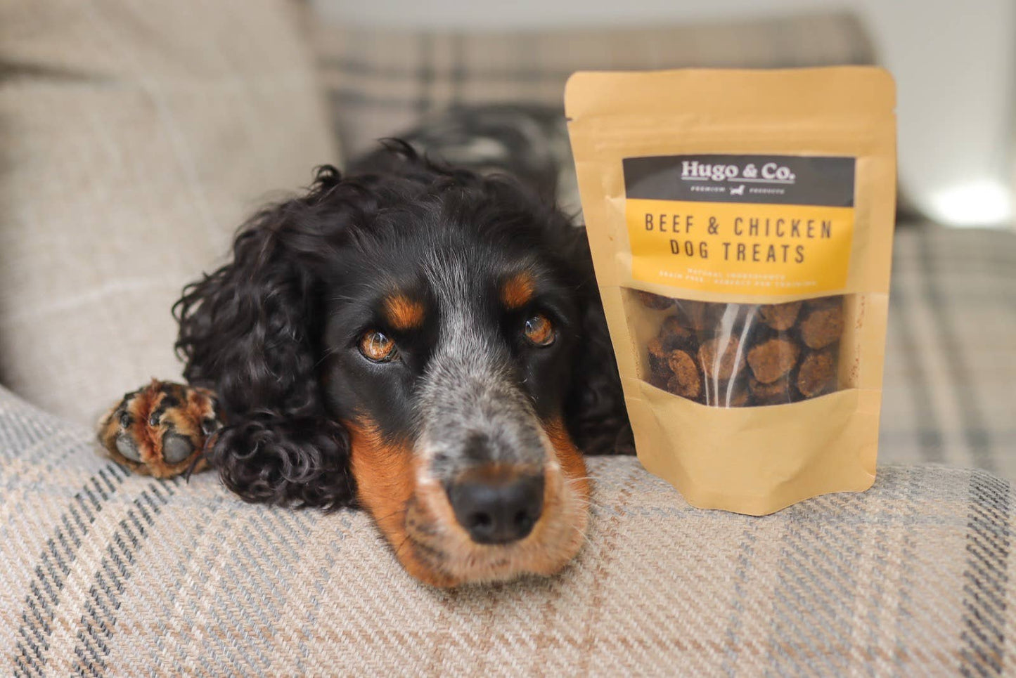 Beef & Chicken Dog Treats