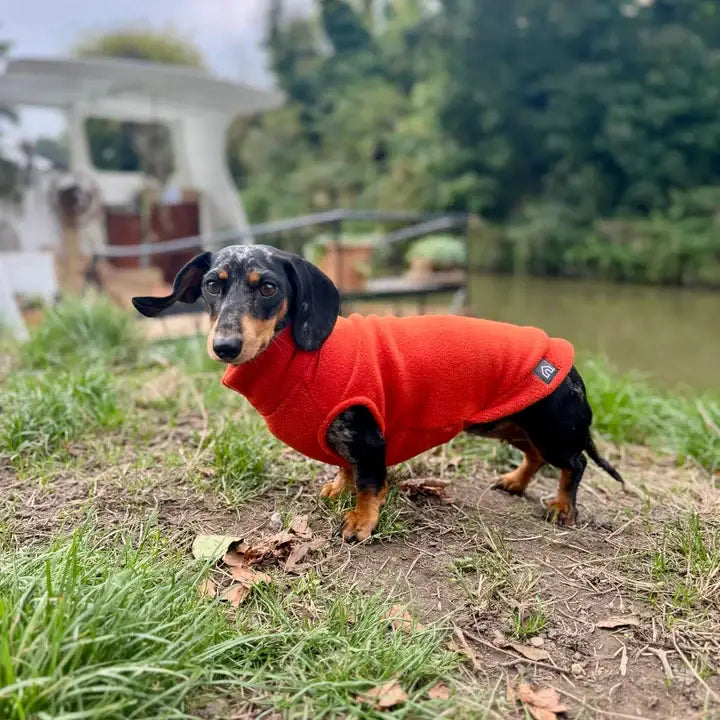 Dachshund Fleece Jumper: Olive / Puppy