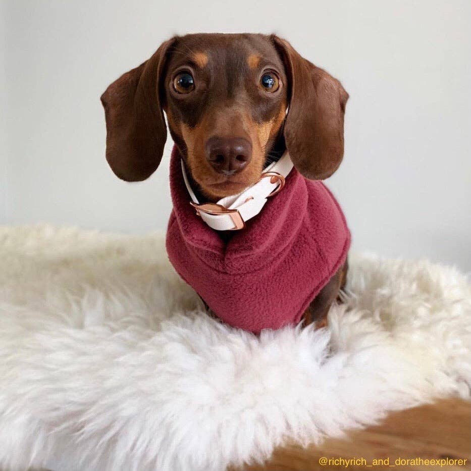 Dachshund Fleece Jumper: Olive / Puppy