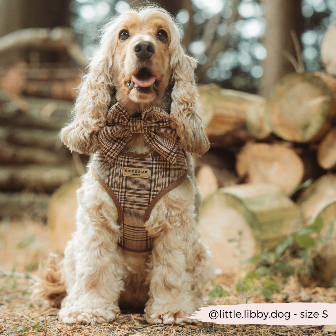 Pup Plaid Adjustable Neck Harness: XS