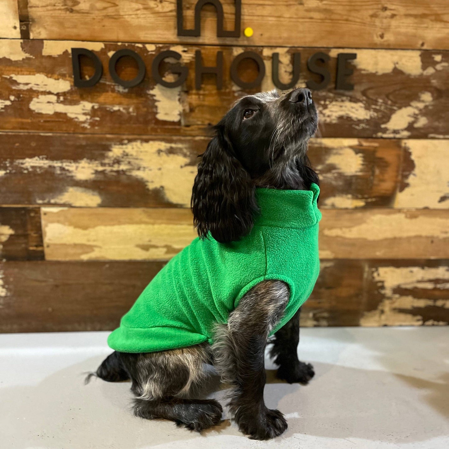 Medium Breed Dog Fleece Jumper: Olive / Medium
