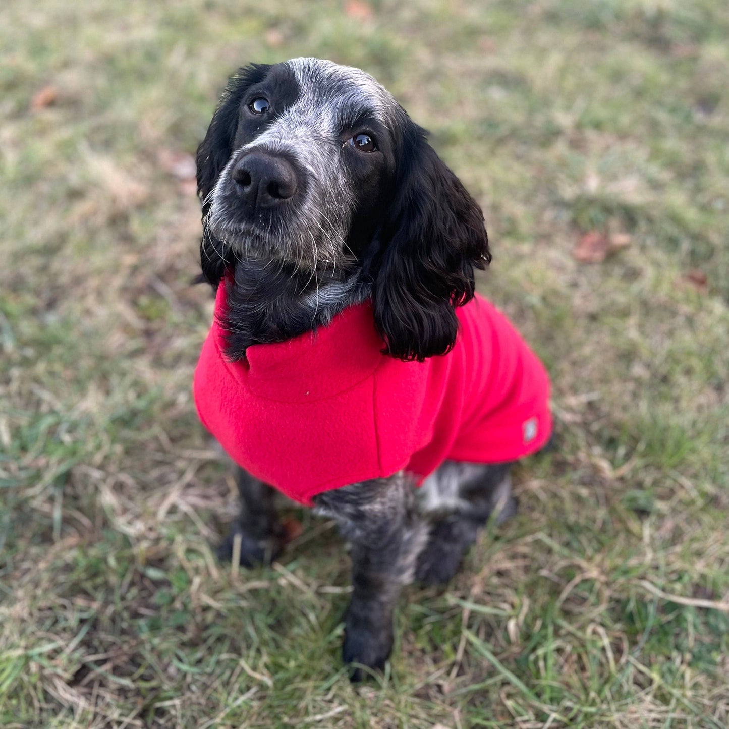 Medium Breed Dog Fleece Jumper: Olive / Medium