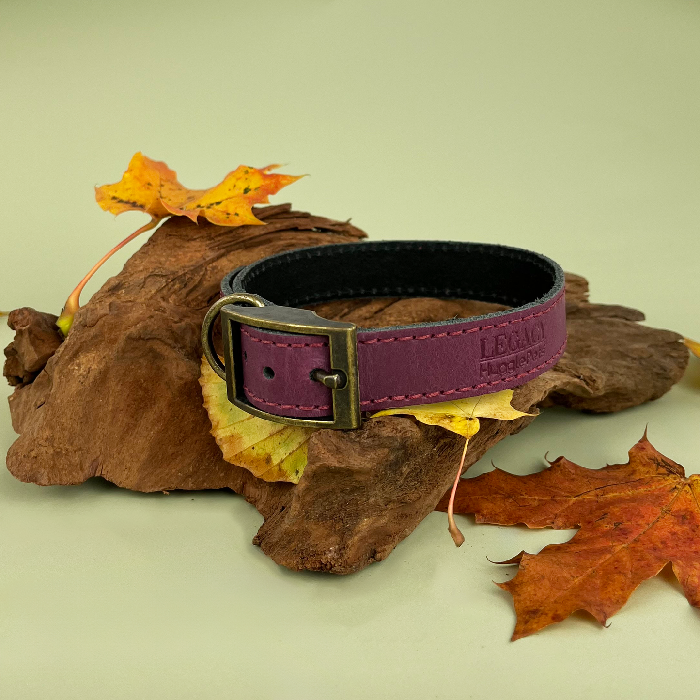 HugglePets Legacy Leather Dog Collar: Khaki / Medium