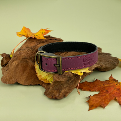 HugglePets Legacy Leather Dog Collar: Khaki / Medium