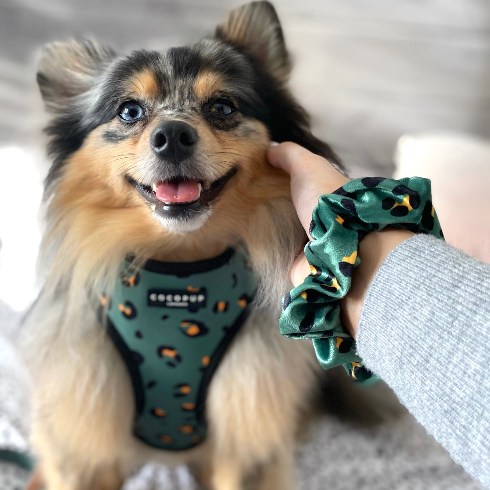 Khaki Leopard Adjustable Neck Harness: XXS