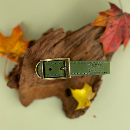 HugglePets Legacy Leather Dog Collar: Khaki / Medium