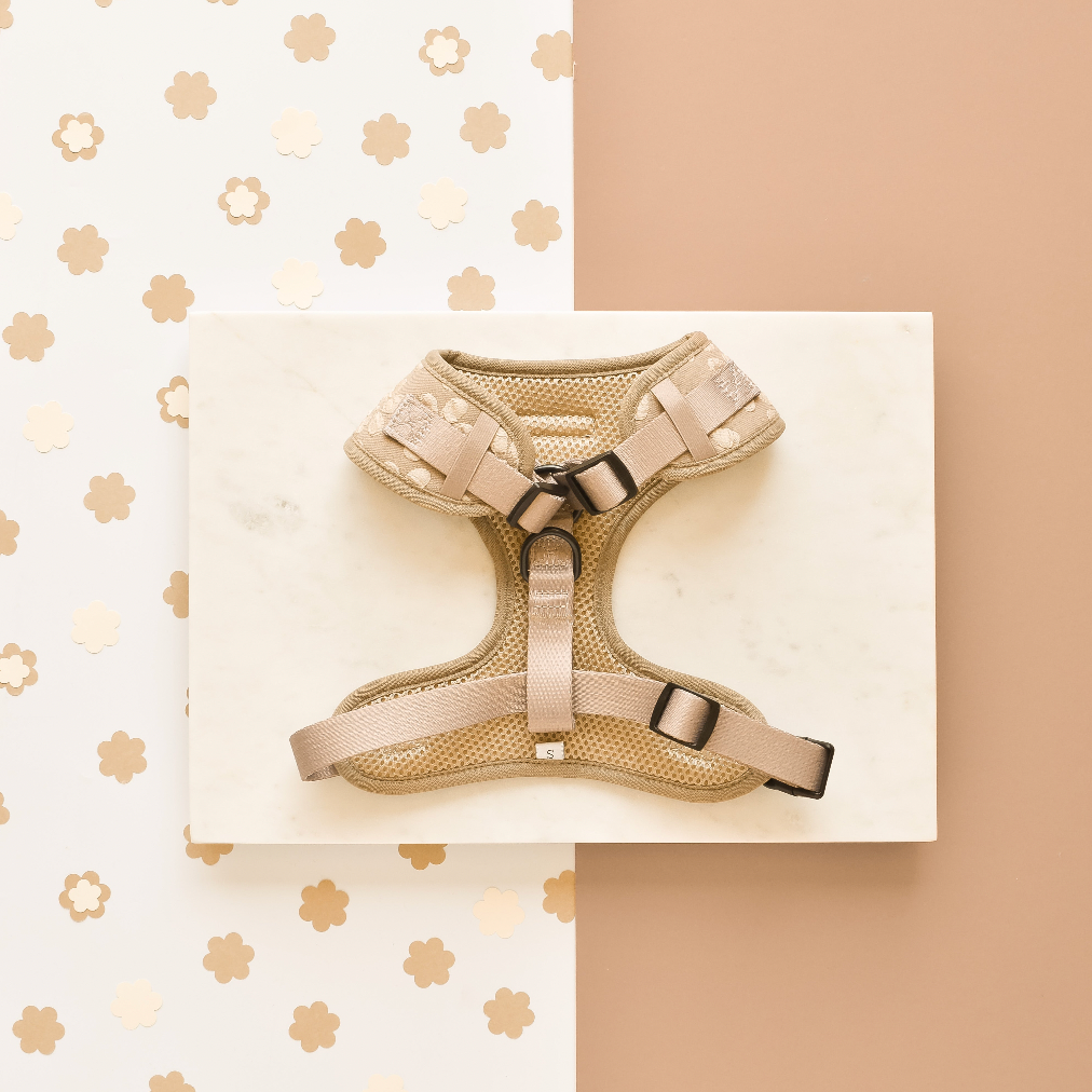 LUXE Adjustable Neck Harness - Mocha Flower: XS