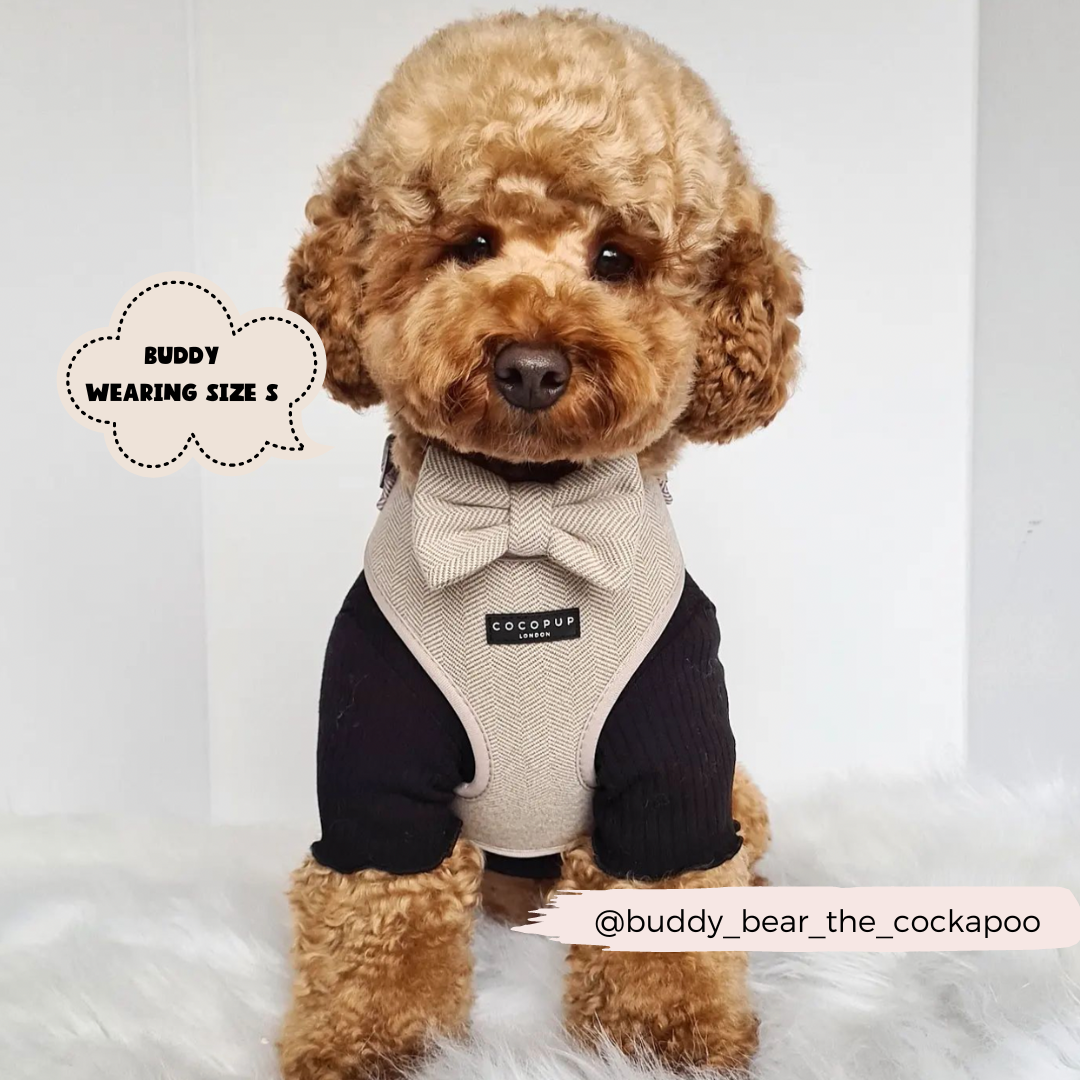Brown Tweed Adjustable Neck Harness: L
