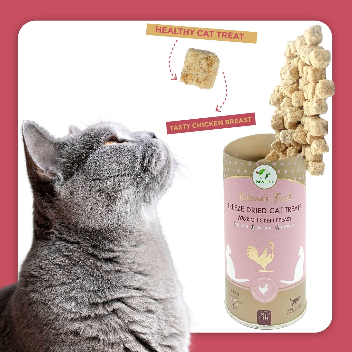 Pawfect Nature's Feast Freeze Dried Cat Treats: Chicken Breast: 50g