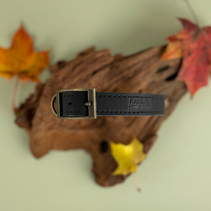 HugglePets Legacy Leather Dog Collar: Khaki / Medium