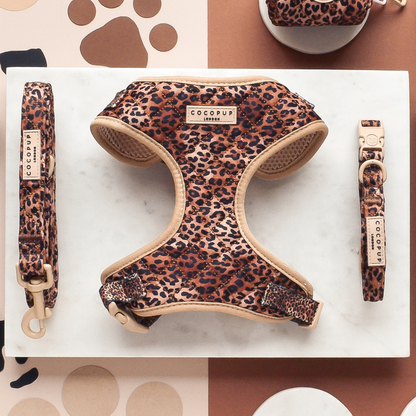 Quilted Leopard Pup Collar: Small
