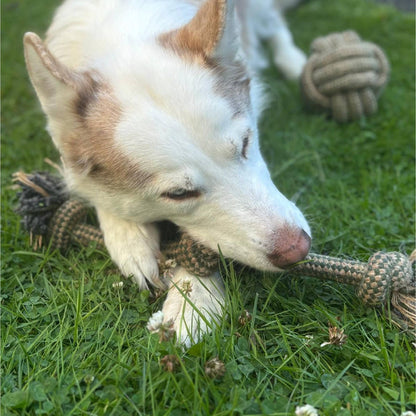 HugglePets Legacy Hemp 3 Knot Dog Toy
