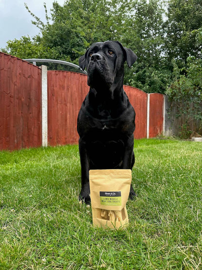 Lamb Muscle Meat Dog Treats