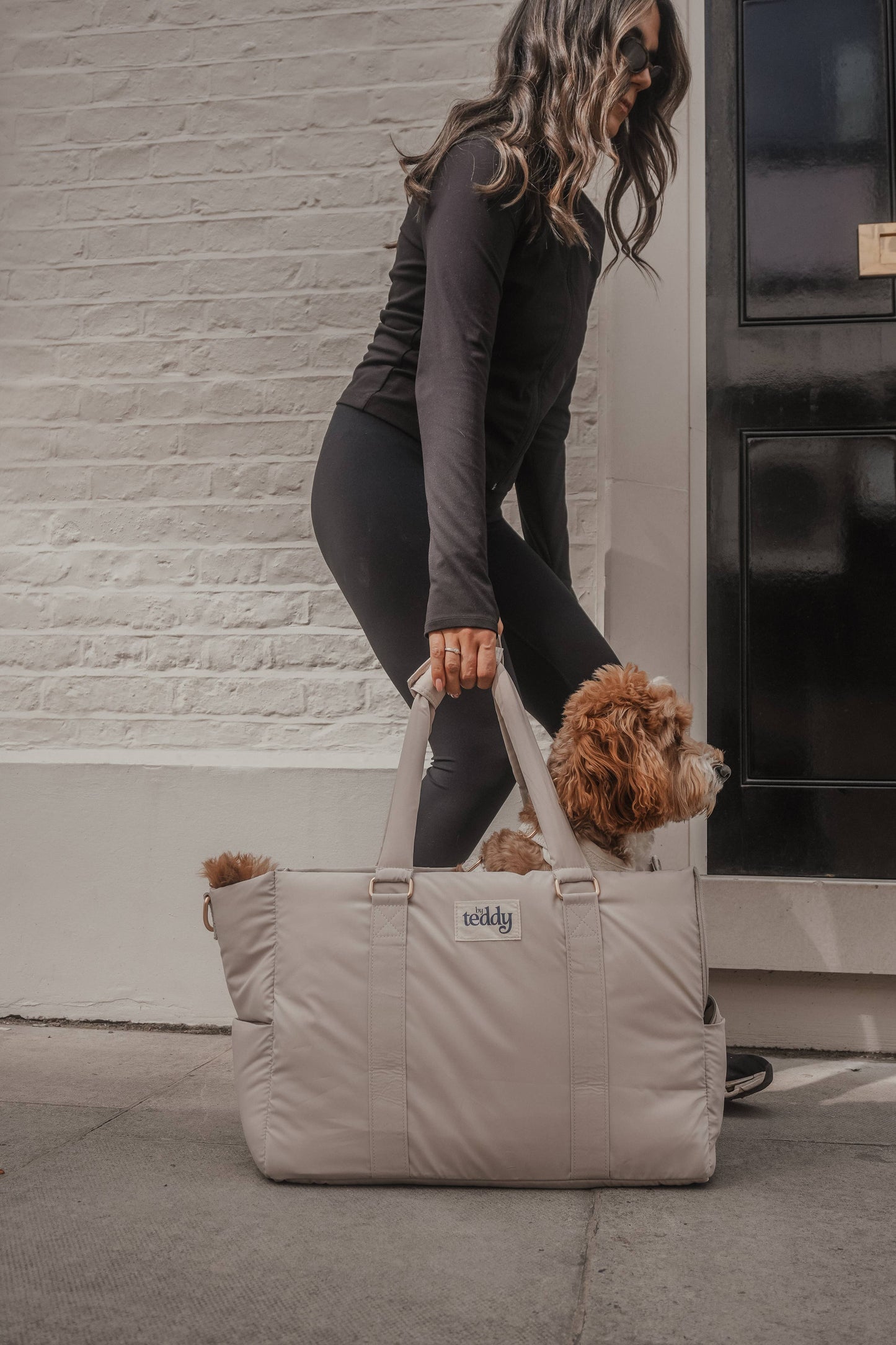 Hazelnut┃The Puffer Carrier