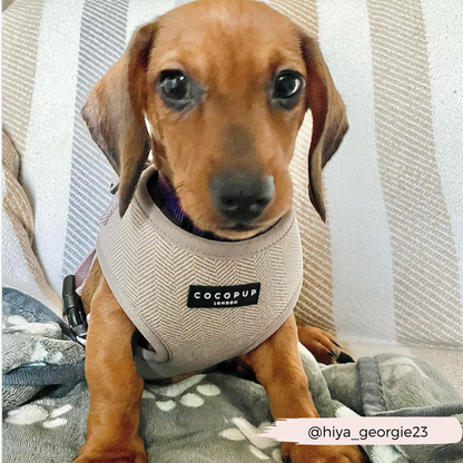 Brown Tweed Adjustable Neck Harness: XXS