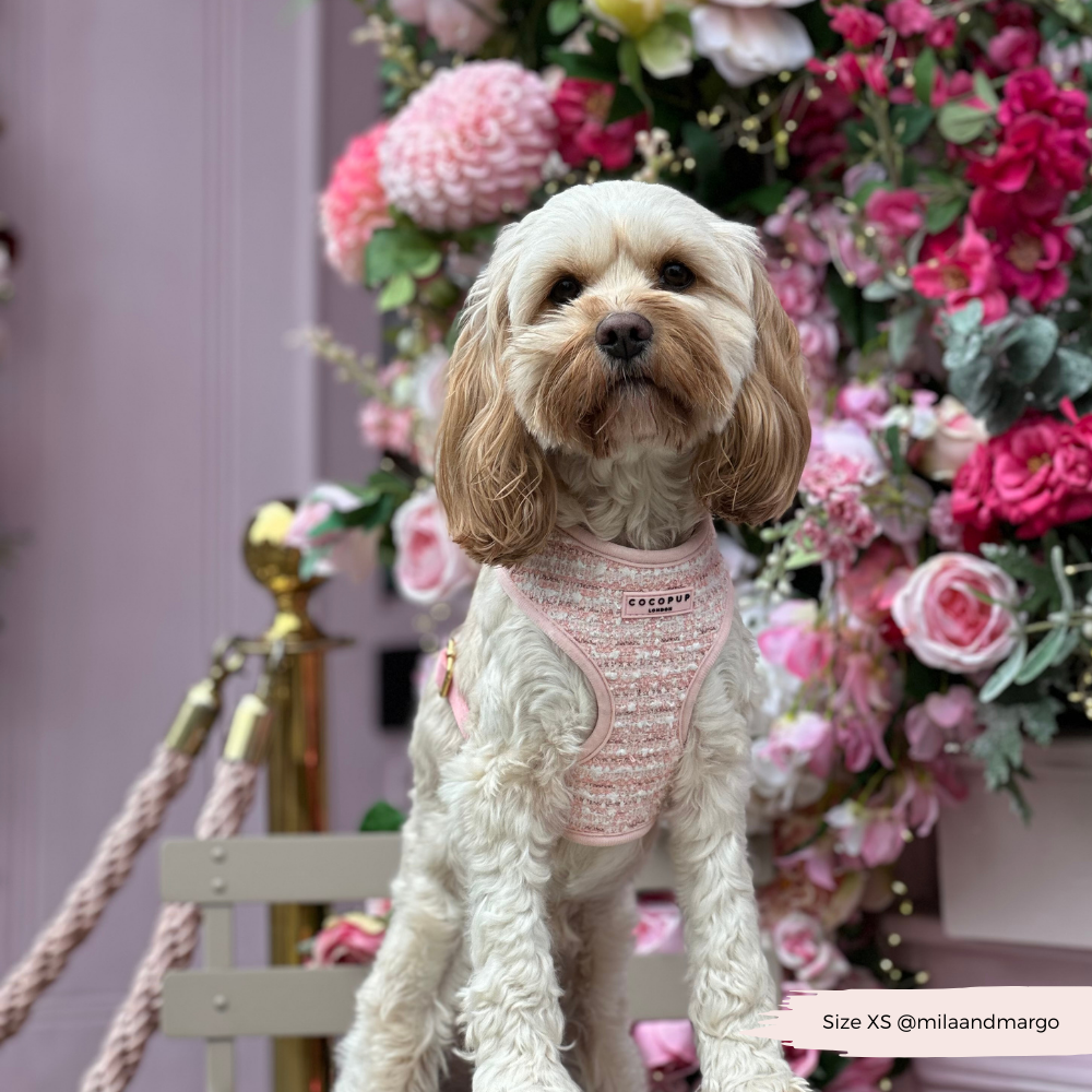 Pink Textured Tweed Adjustable Neck Harness: S