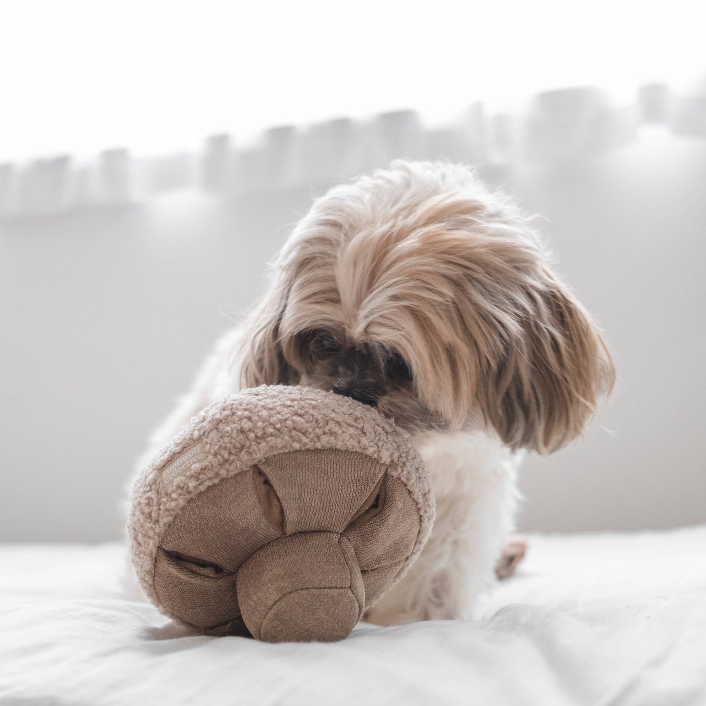 GUU//OAT//NOSEWORK MUSHROOM//ENRICHMENT DOG TOY: Small