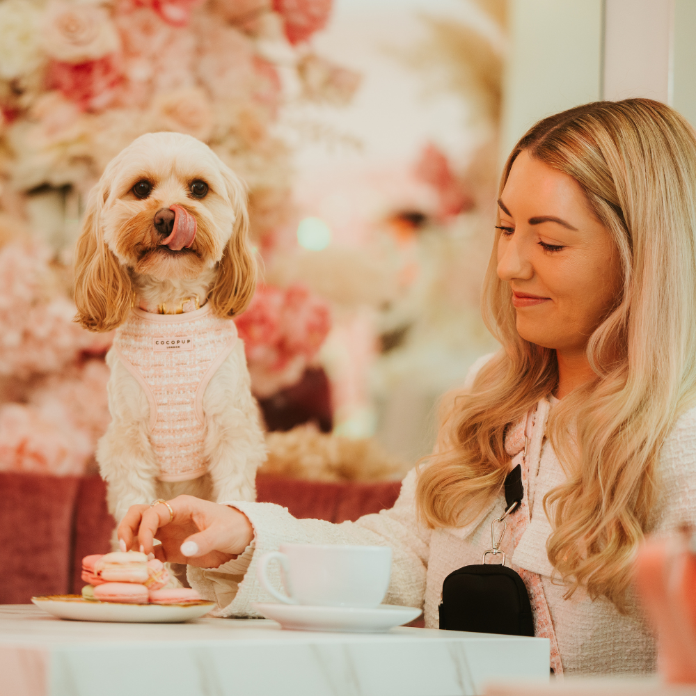 Pink Textured Tweed Adjustable Neck Harness: S