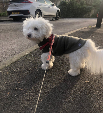 Small Breed Dog Fleece Jumper: Bubblegum Pink / Small