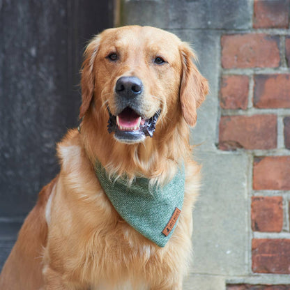 Bandana - Green Tweed: Medium