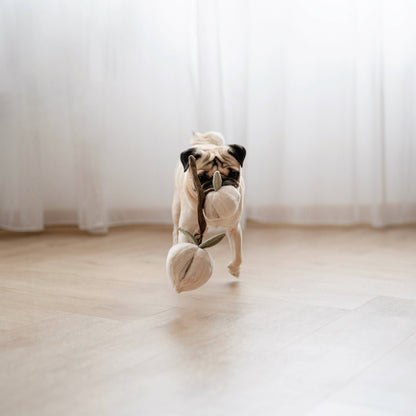 MOMO//ENRICHMENT DOG TOY